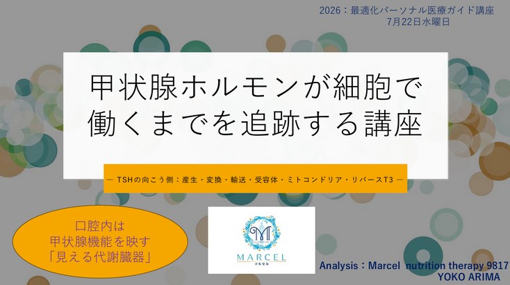 甲状腺ホルモンが細胞で働くまでを追跡する講座