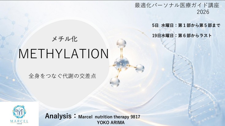 メチル化 1/2