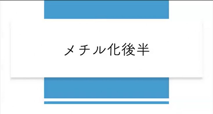 メチル化 2/2